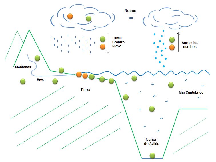 modelo dispersión microorganismos siguiendo ciclo hidrológico