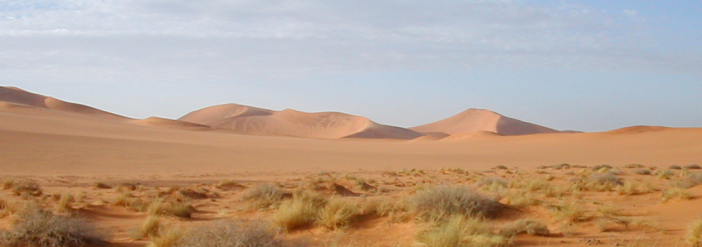 Energía térmica de instalaciones de energía solar concentrada en la arena del desierto