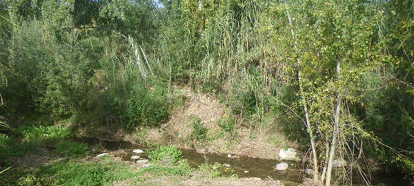 La Agencia Catalana del Agua mejora tramos del río Tenes en el Vallès Oriental
