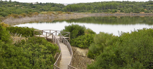 Ecologistas advierten que Andalucía es la comunidad con más humedales en peligro