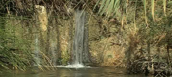 El río Chícamo se convierte en el espacio experimental para el estudio de los ríos temporales