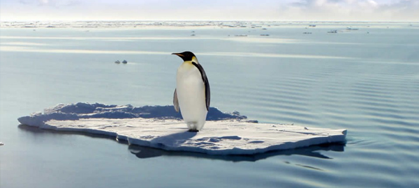 Investigadores alertan que la Antártica se derrite