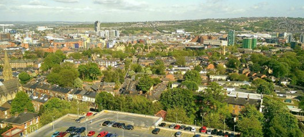La población de Sheffield consigue parar la tala masiva de árboles en su ciudad