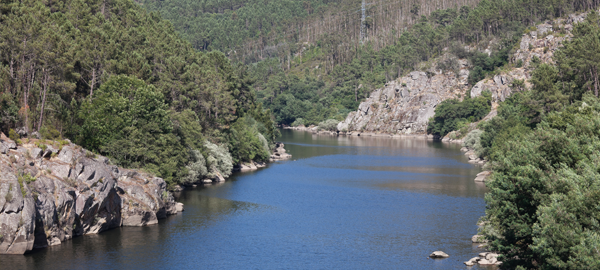 Un estudio revela que el 80% de los ríos gallegos son saludables