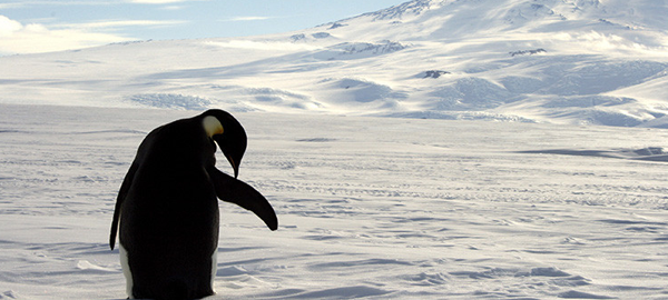 Descubren un lago gigante en la Antártida