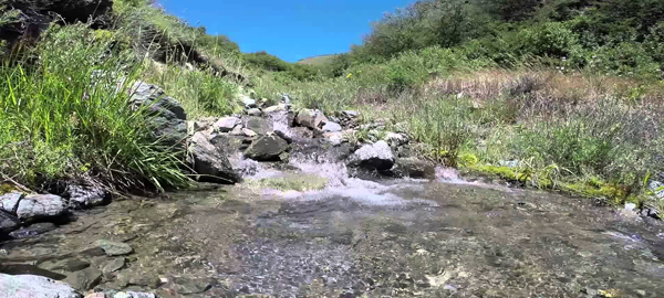 El cambio climático disminuye los arroyos de montaña