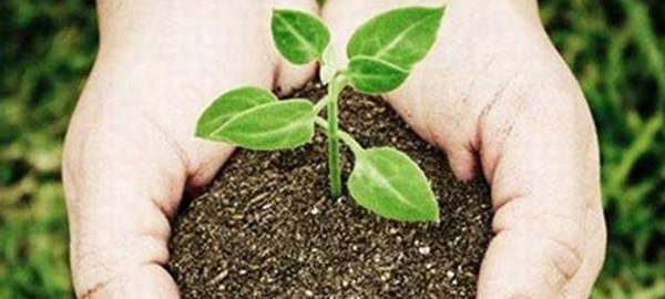 Jaén fomentará la agricultura ecológica