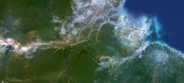 Se descubre un arrecife de coral de 1.000 kilómetros en la boca del Amazonas