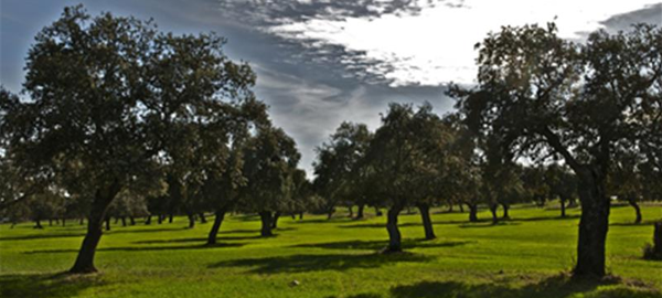 Andalucía apuesta por la biodiversidad