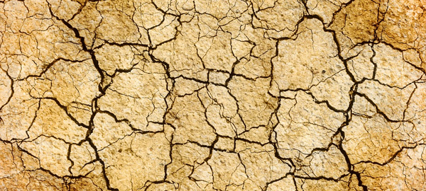 Los agricultores murcianos empiezan a barajar medidas para la sequía del verano