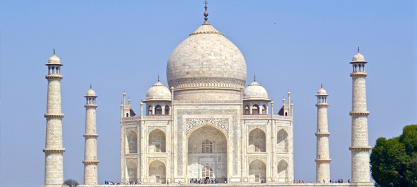 Los desechos de insectos dañan el Taj Mahal