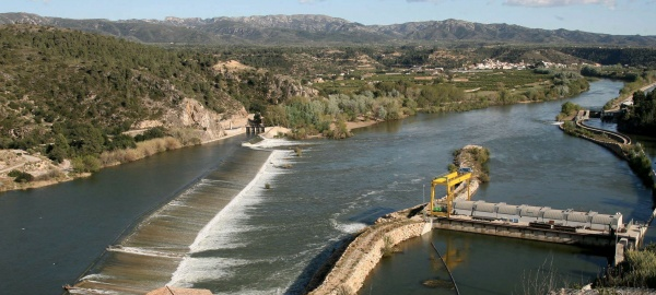 Ecologistas piden la demolición de obstáculos en los ríos
