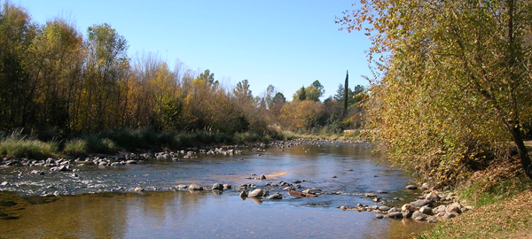 Ecologistas repasan el estado de las reservas naturales fluviales españolas