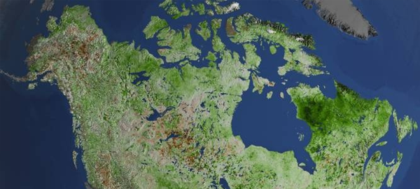 El Ártico, cada vez más verde