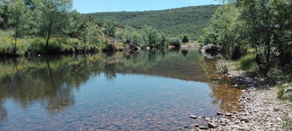 Los ecologistas denuncian el deterioro de reservas naturales fluviales