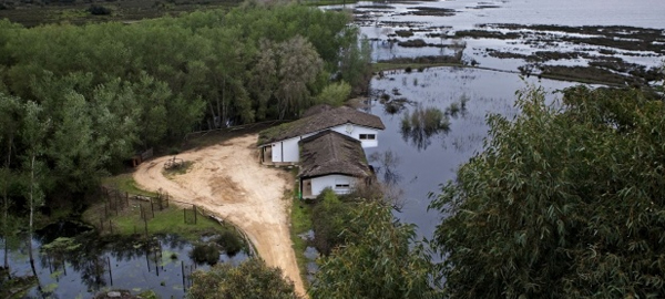 WWF exige que se declare oficialmente «en riesgo» el acuífero de Doñana