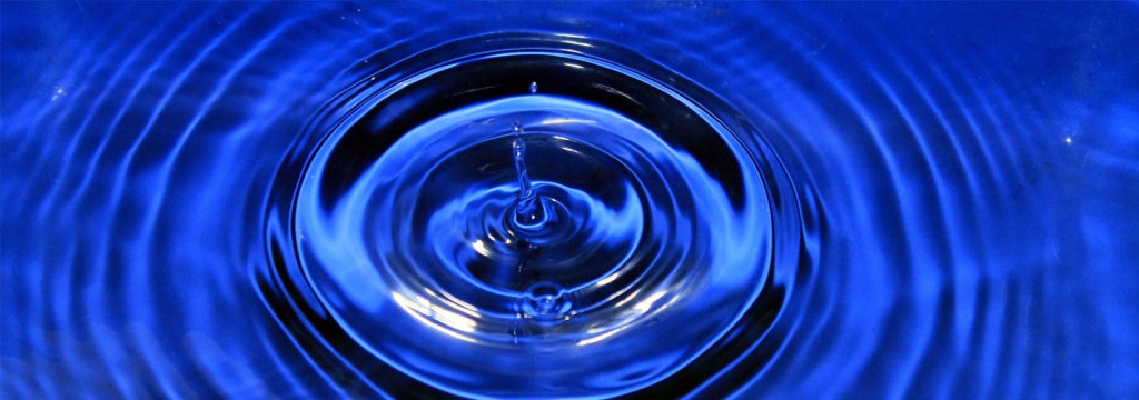 INNOQUA: Un sistema de biosaneamiento que imita la purificación natural del agua