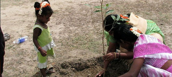 India bate récord al plantar casi 50 millones de árboles en 24 horas