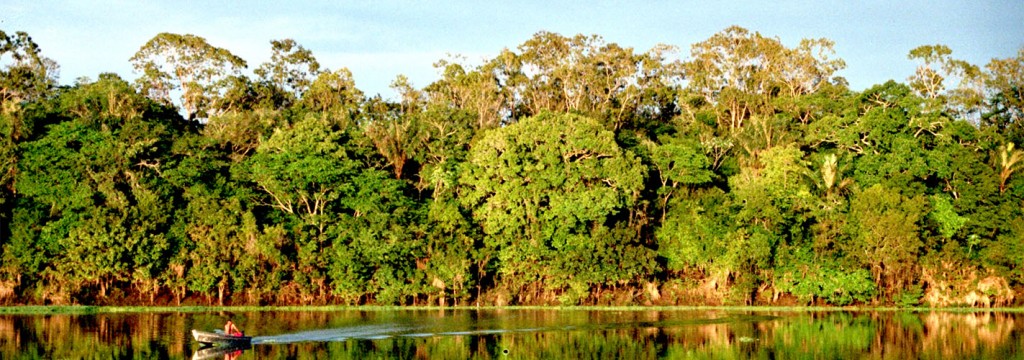 La ampliación de la extracción de petróleo en la Amazonía amenaza a 745 especies