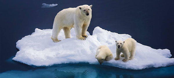 La llamada de socorro del Ártico