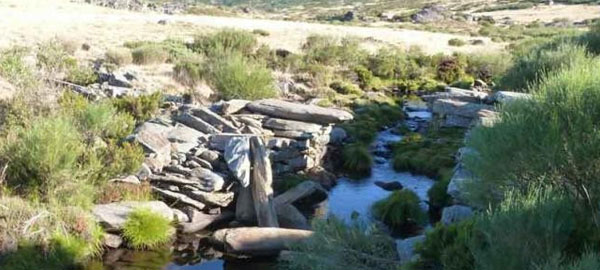 La sequía puede afectar a la vida piscícola de algunos ríos