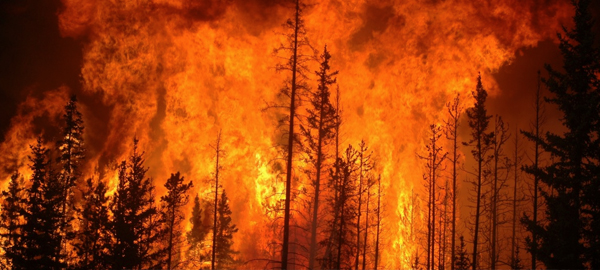 Un decálogo para prevenir los incendios forestales