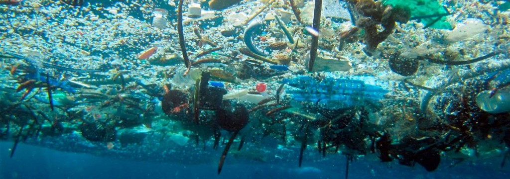 Un ‘océano de plástico’ está destruyendo la vida marina en el Pacífico