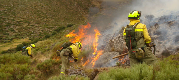 Una brigada forestal canaria para atender emergencias por incendios
