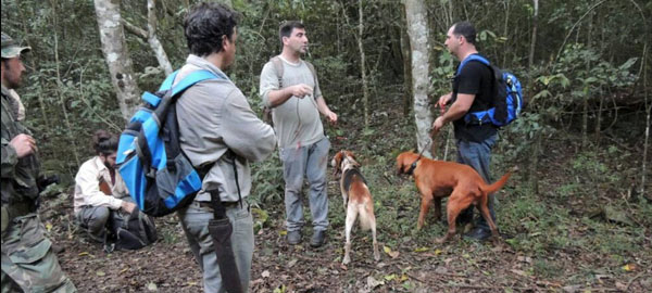 La presencia de un puma obliga a cerrar a los turistas las Cataratas de Iguazú