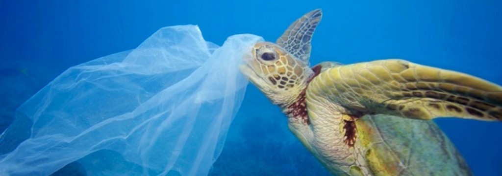 Ocho millones de toneladas de plástico acaban cada año en los océanos