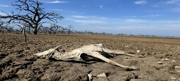 Argentina y Paraguay intentan salvar al río Pilcomayo