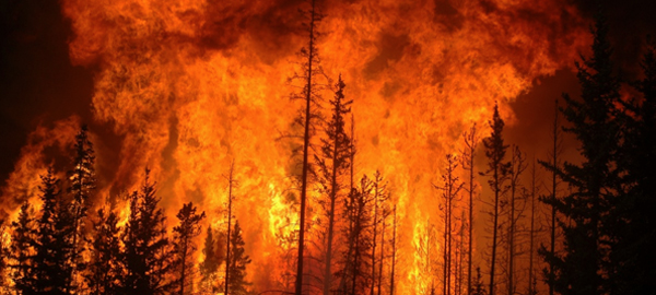 2016 es el año con menos hectáreas quemadas de la década