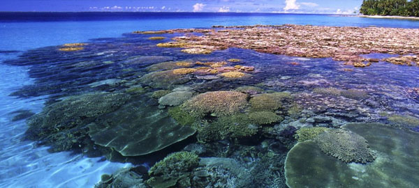 Descubren un arrecife de 10.000 años más antiguo que la Gran Barrera de Coral