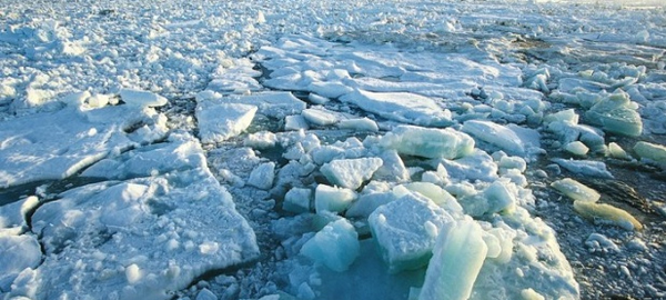 La OMM alerta sobre los efectos del cambio climático en el Ártico y pide protección