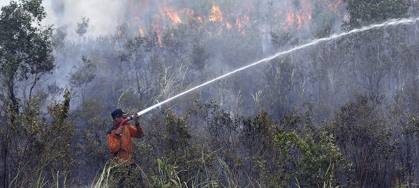 Más de 100.000 muertes atribuidas a incendios en Indonesia en 2015