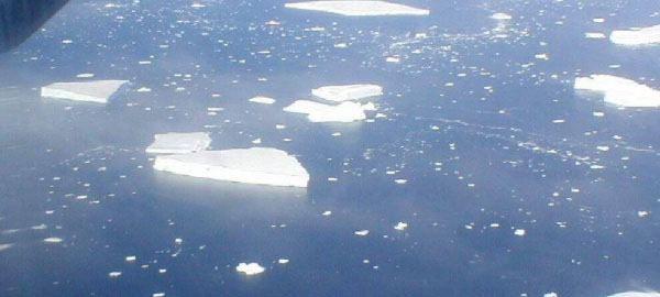 El Mar de Ross tendrá la mayor área marina protegida del mundo