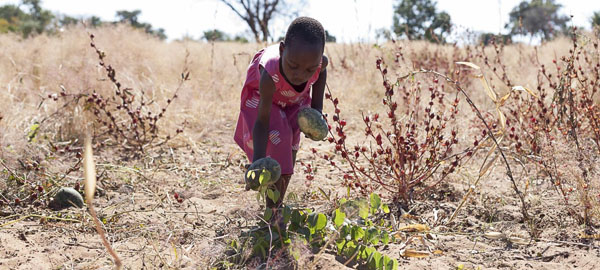‘El Niño’ devora la vida en Zimbabue