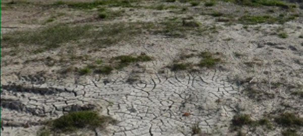 El año hidrológico finaliza con menos lluvias, otra causa más del cambio climático