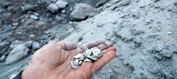 El deshielo descubre los fósiles más antiguos de la Tierra