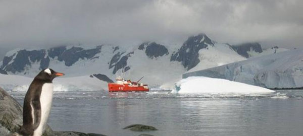 Los glaciares de la Antártida se hunden bajo masas de agua caliente