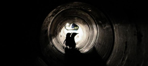 Construyen un túnel subterráneo en Nueva Zelanda para proteger a sus pingüinos