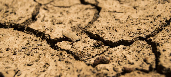 El plan contra la sequía se extiende a septiembre de 2017