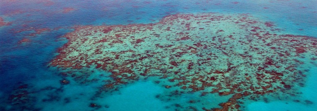 Las altas temperaturas afectan gravemente a la Gran Barrera de Coral
