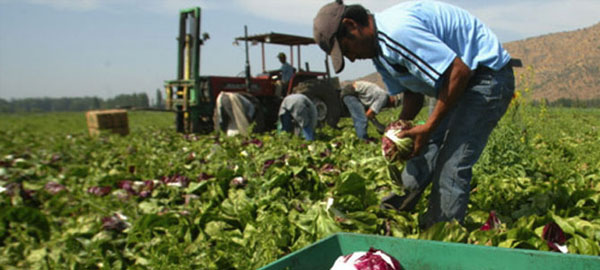 Uruguay adapta su agricultura al cambio climático