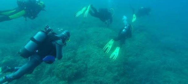 wildsea-divers-un-programa-piloto-para-promover-el-buceo-responsable-en-el-mediterraneo