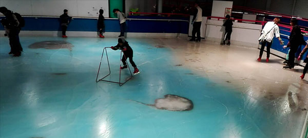 Cerrada una pista de patinaje en Japón que atrapó 5.000 peces en el hielo