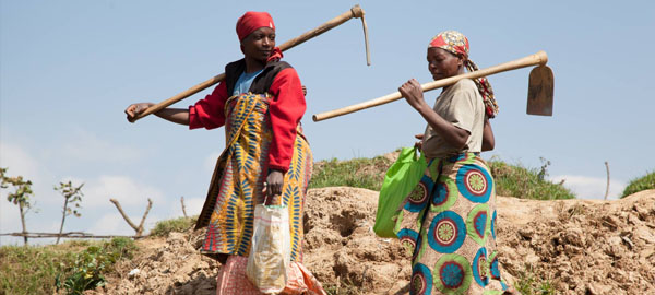 Cómo aliviar la sequía en África