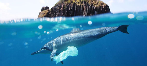 ¿Cómo y por qué se crean las islas de basura en los océanos?