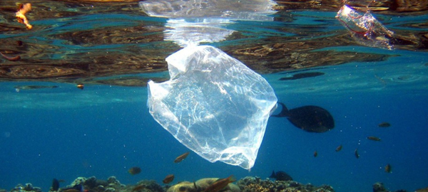 Una campaña de la ONU para acabar con la basura plástica en los océanos