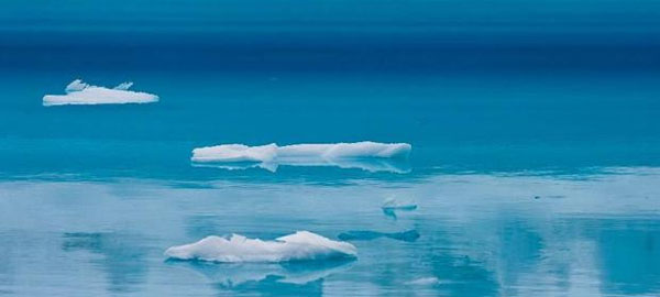 El Ártico es el océano que más rápido se acidifica, en extensión y en profundidad
